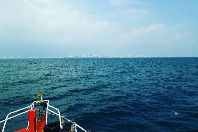 Racha & Coral Island Day Trip by Speedboat - Lunch Included - Timing and weather: how to avoid feeling rushed