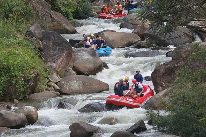 Rafting 5 km, ATV 30 Mins, Fly Fox and Jungle Tour From Phuket - Key things to know before you go