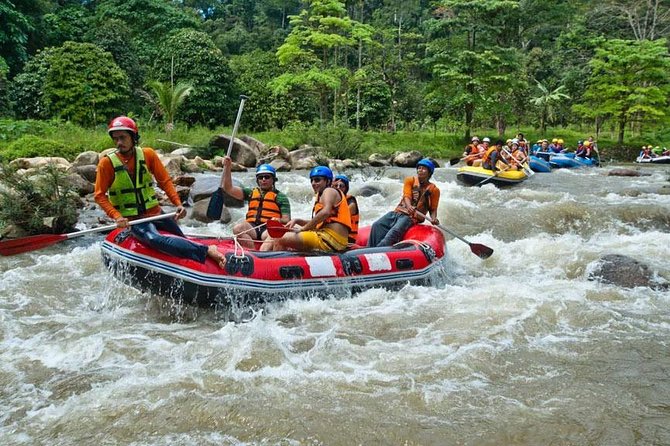 Rafting 5 km, ATV 30 Mins, Fly Fox and Jungle Tour From Phuket - ATV in the jungle: 30 minutes of controlled chaos