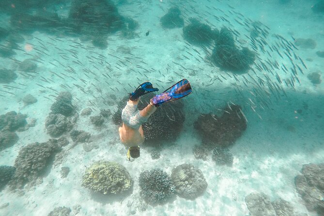 Raya Island / Mai Ton Island Private Boat Tour - Price and value: how $1,103.26 makes sense when you price the day correctly