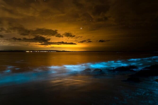 Scenic Promthep & Krating Cape Dining Experience Cruise - Drinks and the DJ vibe: fun, but plan for the sound level