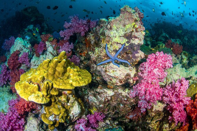 Scuba Diving Daytrip to Racha Yai - Weather risk and pickup reliability: plan for the one weak spot