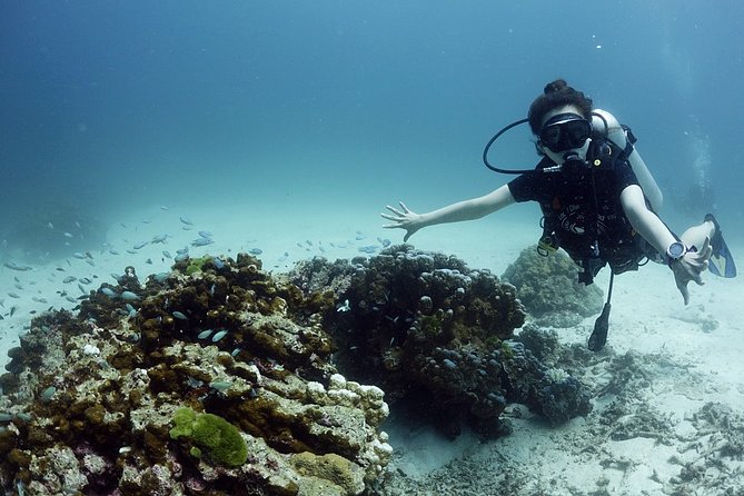 Scuba Diving in Phuket – Full-Day Trip (3 Dives, All Included) - Gear, comfort, and what you should bring (and what you can skip)