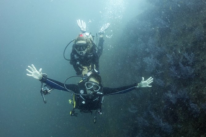 Scuba Diving in Phuket – Full-Day Trip (3 Dives, All Included) - Price and value: what $179.24 buys, and what can cost extra