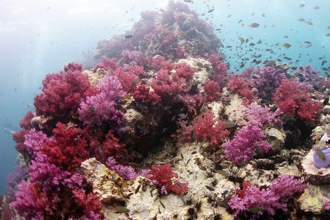 Scuba Diving in Phuket – Full-Day Trip (3 Dives, All Included) - Racha Islands: what the day is really selling