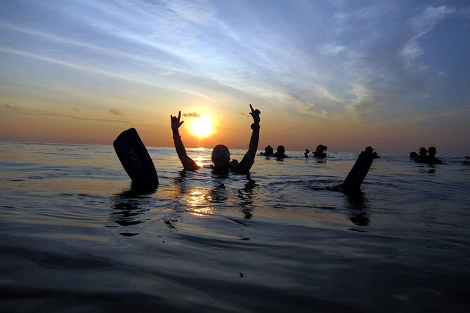 Scuba Diving Kata Beach Night Dive for Certified Divers - Price and value: $60, cylinder included, gear rental extra