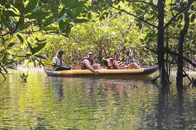 Secrets Of Phang Nga Bay Boat Tour From Phuket By Phuket Sail Tours - Mangrove Forest and the Canoeing Part That Turns Heads