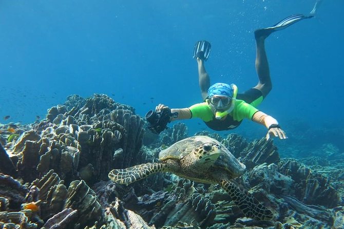 Similan Islands Day Trip by Speedboat From Phuket - Miang Island (No. 4), lunch and Royal Island relaxation