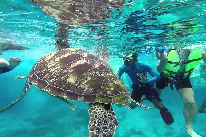 Similan Islands Full-Day Tour from Phuket with Lunch (SHA Plus) - Similan Islands: what makes this day trip feel special