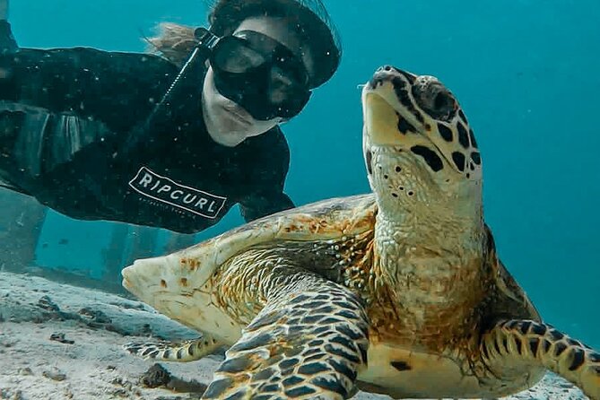 Similan Islands Private Tour - Private Boat Day Trips: What Changes When You Avoid the Squeeze