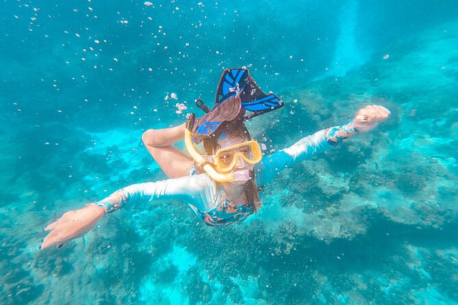 Similan Islands Private Tour - What to Pack and How to Plan Your Day Around the Sea