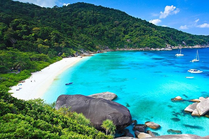Similan Islands Snorkeling Day Tour from Phuket - Price and logistics: is $94.51 good value?