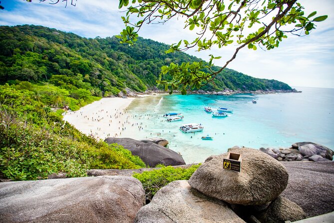 Similan Islands Snorkeling Tour By Seastar Andaman From Phuket - West of Eden dive spot and Island 7: short sessions, more variety