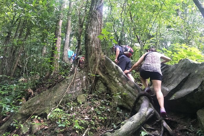 Small-Group Jungle Hiking Excursion in Khao Phra Teaw Park - Entering Khao Phra Taew, the “big Phuket rainforest” feeling