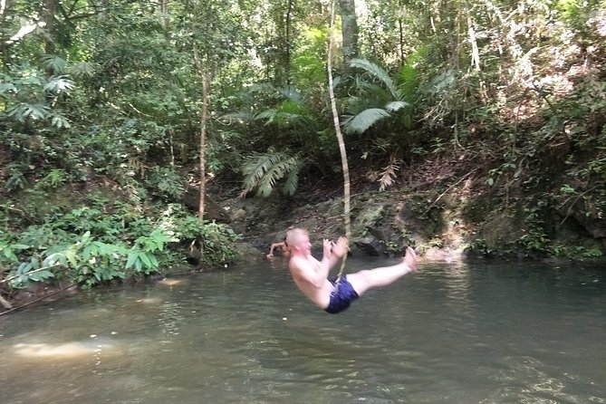 Small-Group Jungle Hiking Excursion in Khao Phra Teaw Park - Wildlife spotting: how to set your expectations (and still be thrilled)