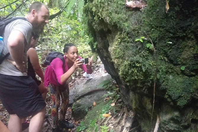 Small-Group Jungle Hiking Excursion in Khao Phra Teaw Park - What to pack: turn slippery jungle into a smooth day