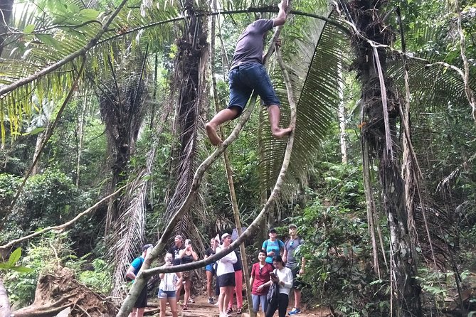 Small-Group Jungle Hiking Excursion in Khao Phra Teaw Park - The guides: the real difference between a good walk and a memorable one