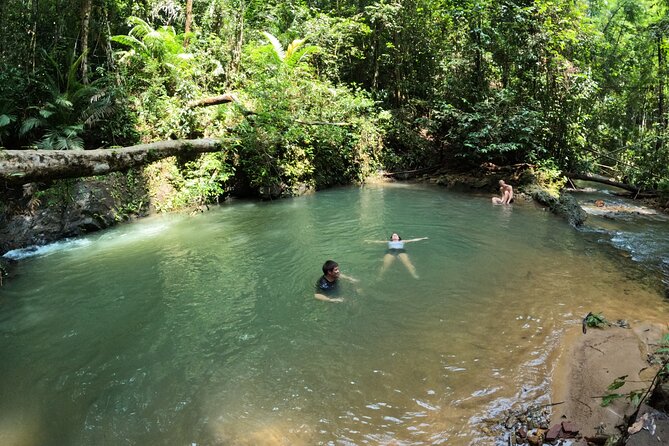Small-Group Jungle Hiking Excursion in Khao Phra Teaw Park - Lunch in Phuket: local Thai food that actually fits the day