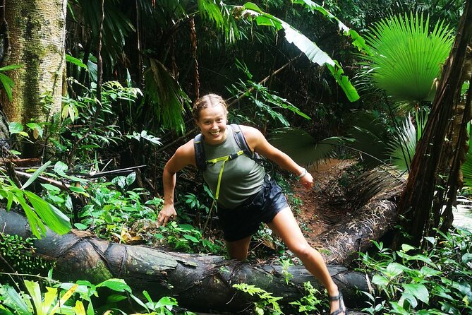Small-Group Jungle Hiking Excursion in Khao Phra Teaw Park - Price and value: what $78.23 buys you (and what it does not)