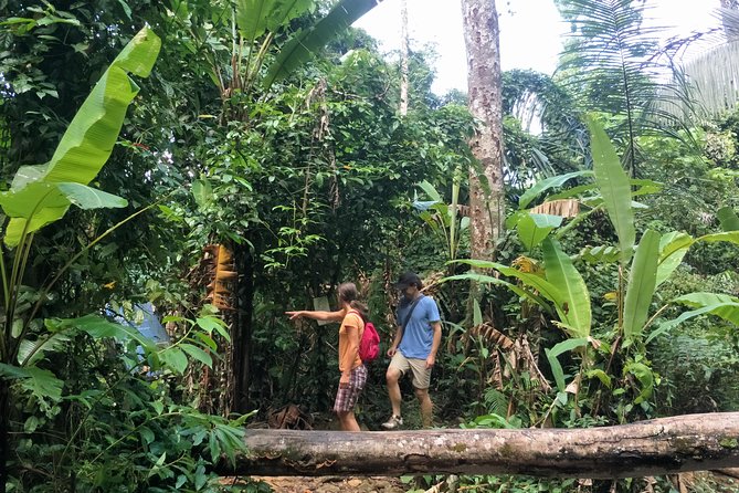 Small-Group Jungle Hiking Excursion in Khao Phra Teaw Park - Stop-by-stop: what each waterfall area adds