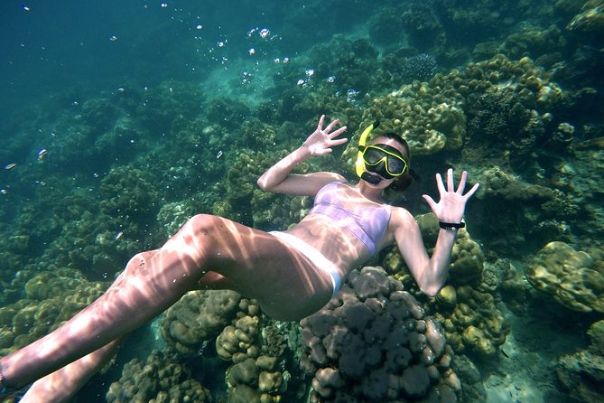 Small Groups of 20 people - Phi Phi & Bamboo Islands with Lunch - Why this small-group Phi Phi and Bamboo day feels different