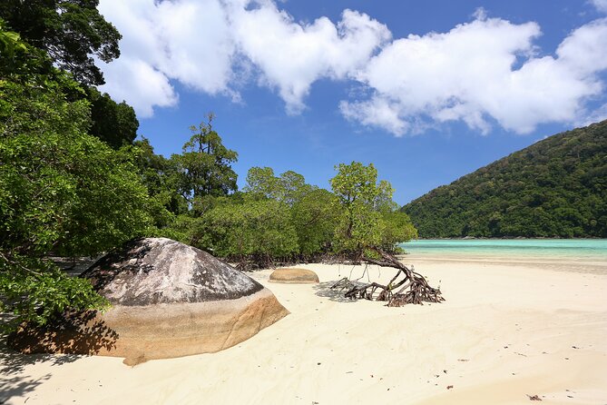 Surin Islands 2 Days 1 Night Trip from Phuket - Day 2: breakfast, snorkeling at Mai Ngam, then lunch and the return
