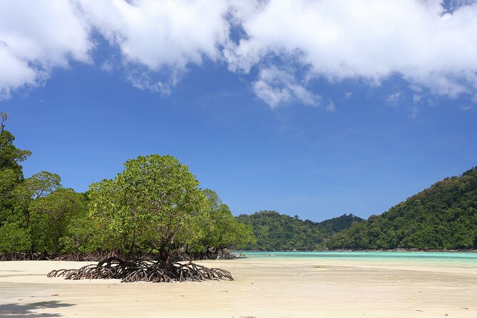 Surin Islands 2 Days 1 Night Trip from Phuket - Snorkeling gear, long-tail boats, and safety that feels thought through