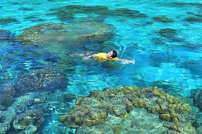 Surin Islands Snorkeling Day Trip By Love Andaman From Phuket - Stop 1: Mu Ko Surin National Park and Reef Time