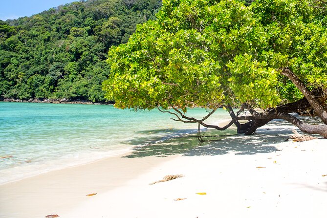 Surin Islands Snorkeling Trip from Phuket - Should you book the Surin Islands snorkeling trip from Phuket?