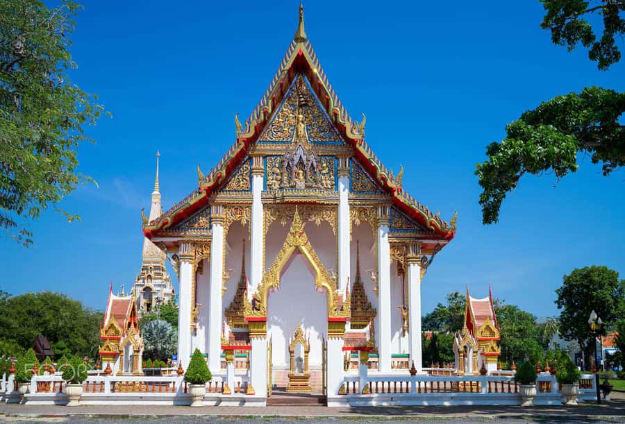 Temple and Jungle Trekking tour with Lunch at Farm-to-Table - Price and Value: Why $49 Works for the Package