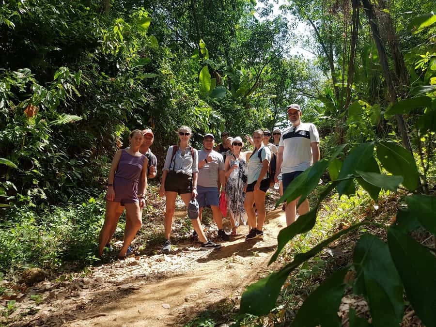 Temple and Jungle Trekking tour with Lunch at Farm-to-Table - Farm-to-Table Thai Lunch: Organic Ingredients, Smoothies, and How It Works