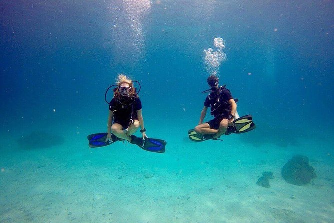 Try Scuba Diving - Key Things You Should Know Before You Go