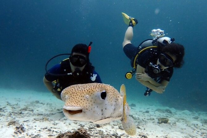 Try Scuba Diving in Racha Yai and Noi for Non-Certified - Two Underwater Sessions: The Practical Time Limits and What They Mean