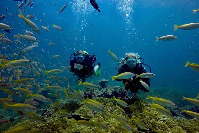 Try Scuba Diving - Gear, Safety, and Comfort for First-Timers