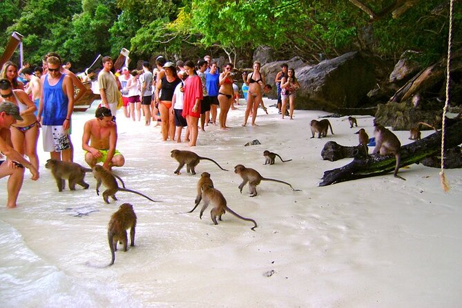 VIP Private Boat to Phi Phi Island: Snorkeling + Land Tour - Pileh Bay and Ko Phi Phi Don: the lunch reset and the lagoon payoff