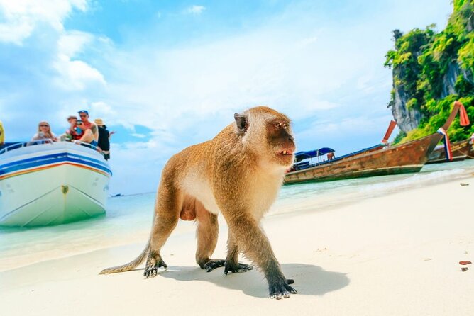 VIP Private Boat to Phi Phi Island: Snorkeling + Land Tour - Snorkeling with turtles: what you should expect from the included gear