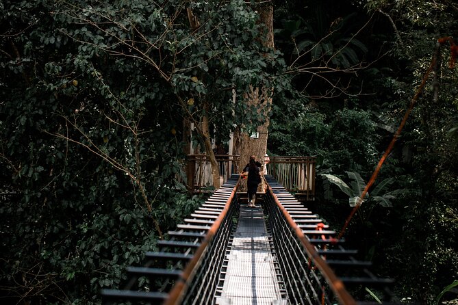 World B+ (Zipline 18 Platforms + Roller + Sky Walk with World Set Menu ) - Roller Zipline 800m, curving through the trees at up to 40 km/h