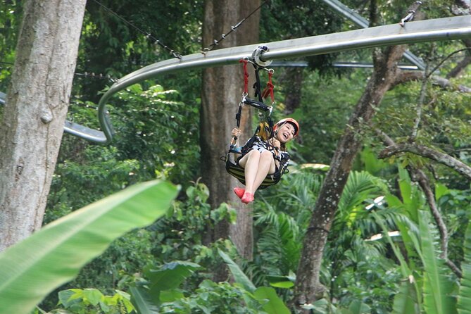World B+ (Zipline 18 Platforms + Roller + Sky Walk with World Set Menu ) - Abseils from 20m and 40m, plus spiral staircase steps