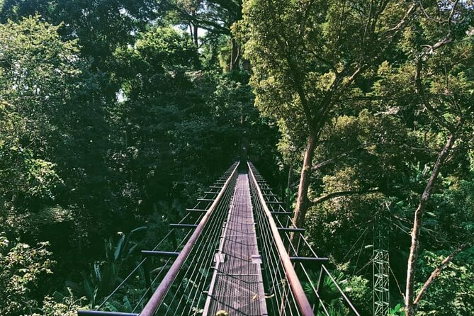 World B+ (Zipline 18 Platforms + Roller + Sky Walk with World Set Menu ) - Is $97.51 good value for this Phuket zipline package?